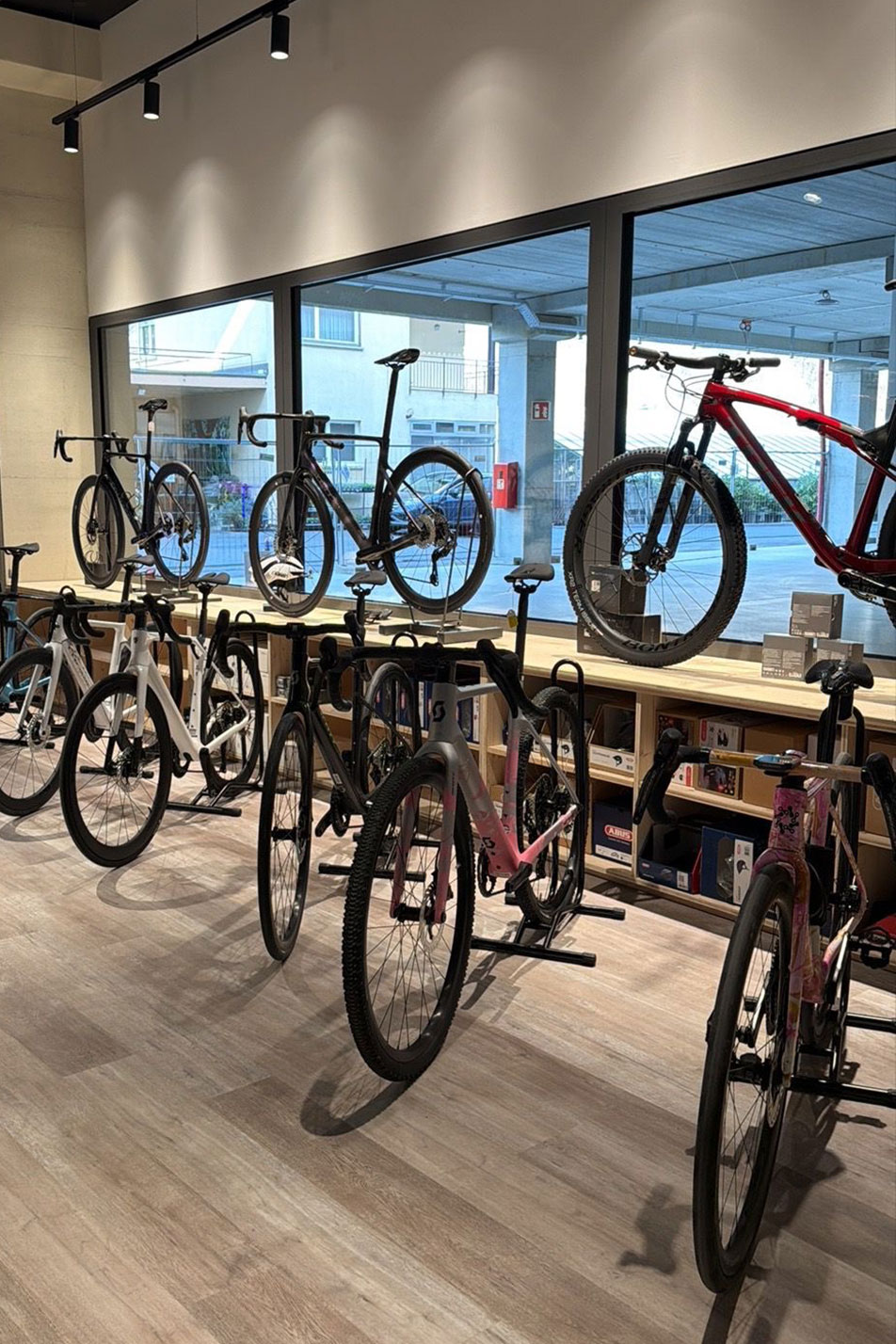 BicycleRace by Balmelli