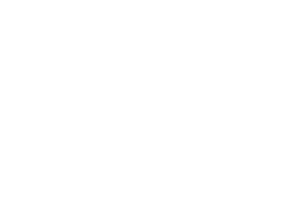 Pissei